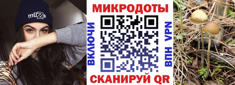 Галлюциногенные грибы мицелий  закладки  Батайск 